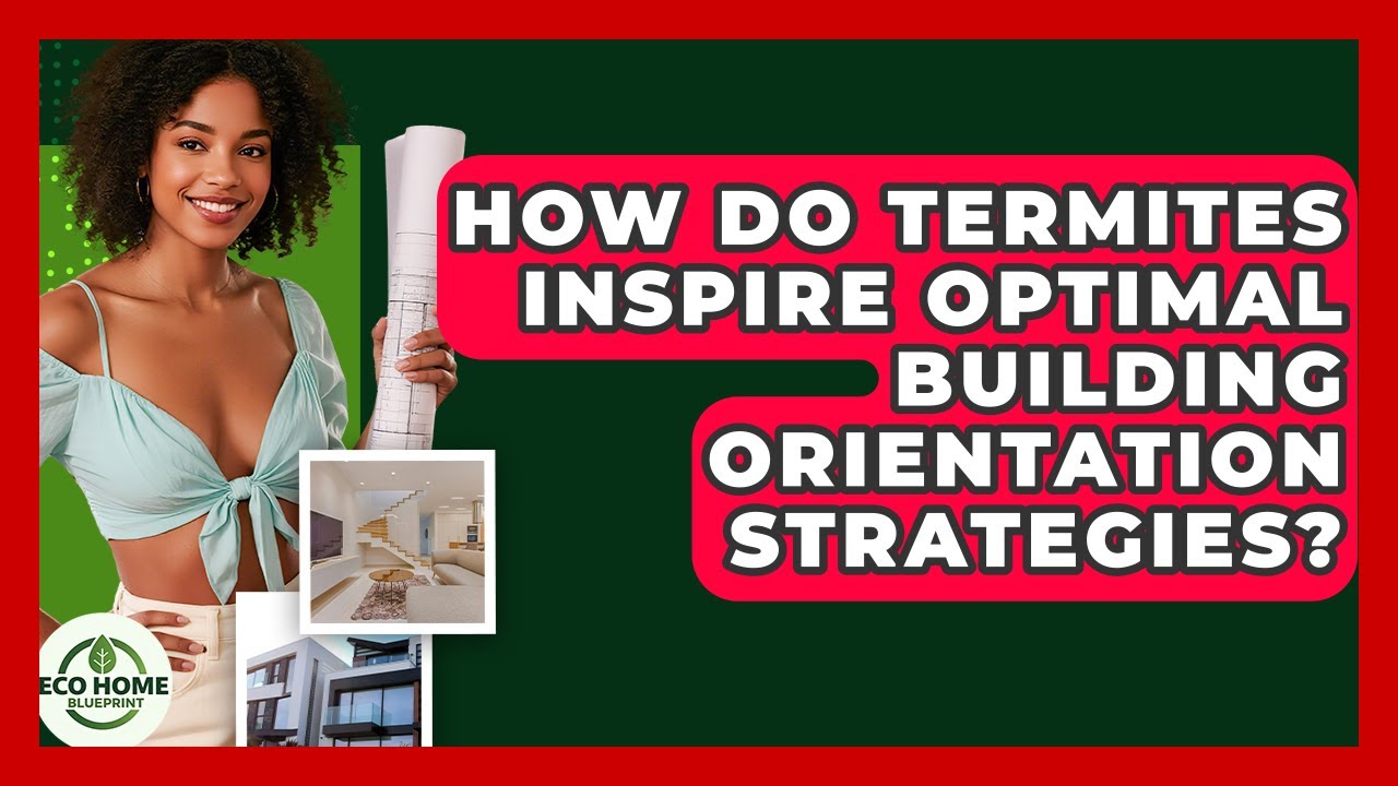 How Do Termites Inspire Optimal Building Orientation Strategies? - Eco Home Blueprint