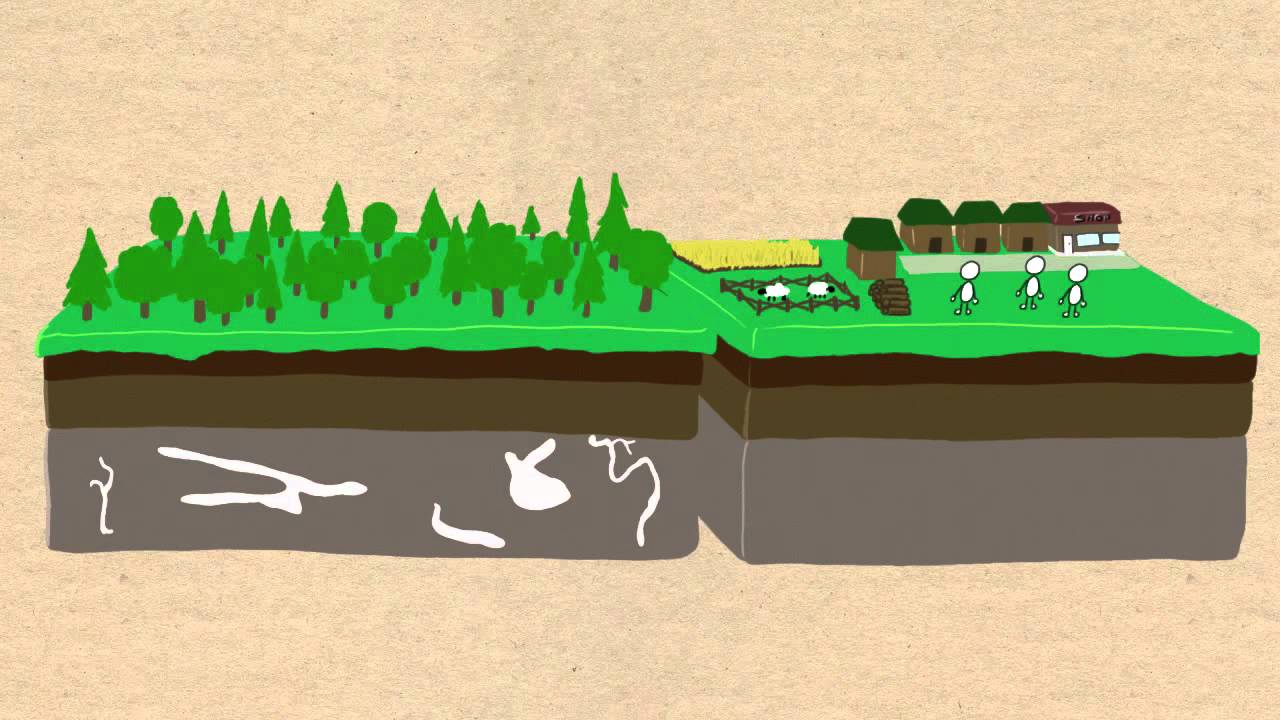 Intro to Cost-Benefit Analysis