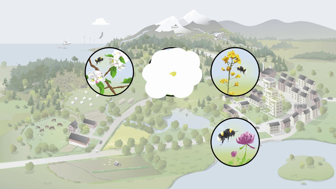 Green Infrastructure - Sustainable Landscapes - Subtitles Swedish EPA
