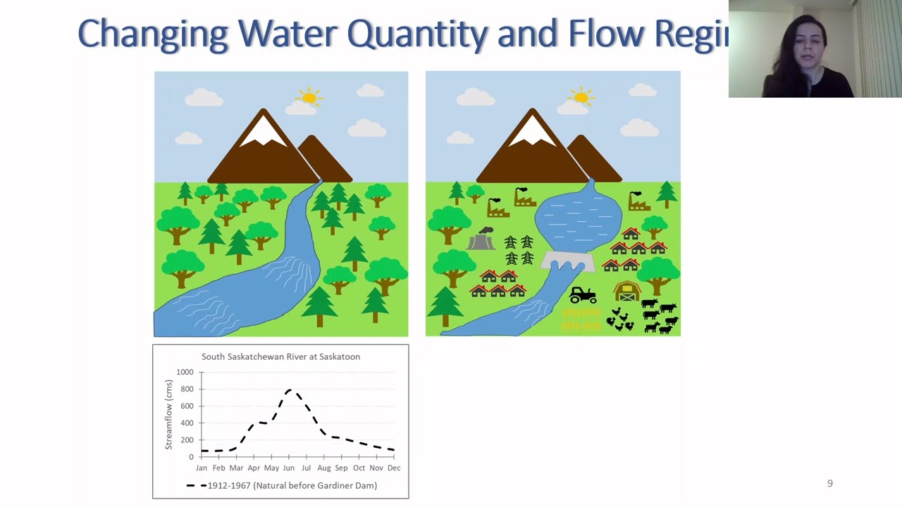 Water Resources Management: Part 1 - Introduction Dr. Leila Eamen