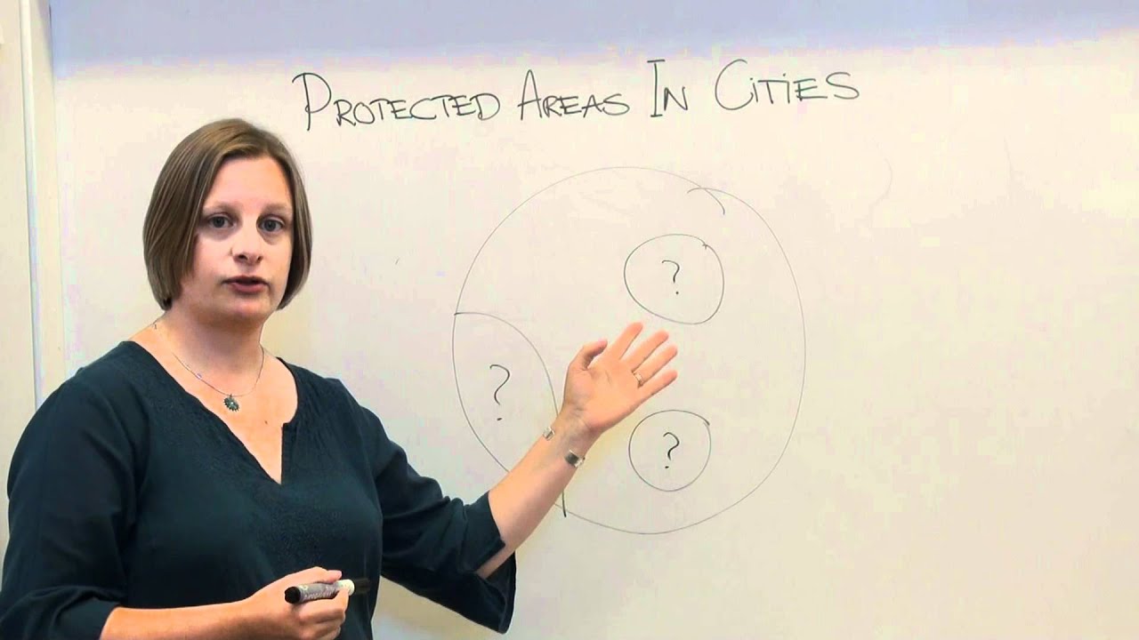 Nature conservation in urban areas