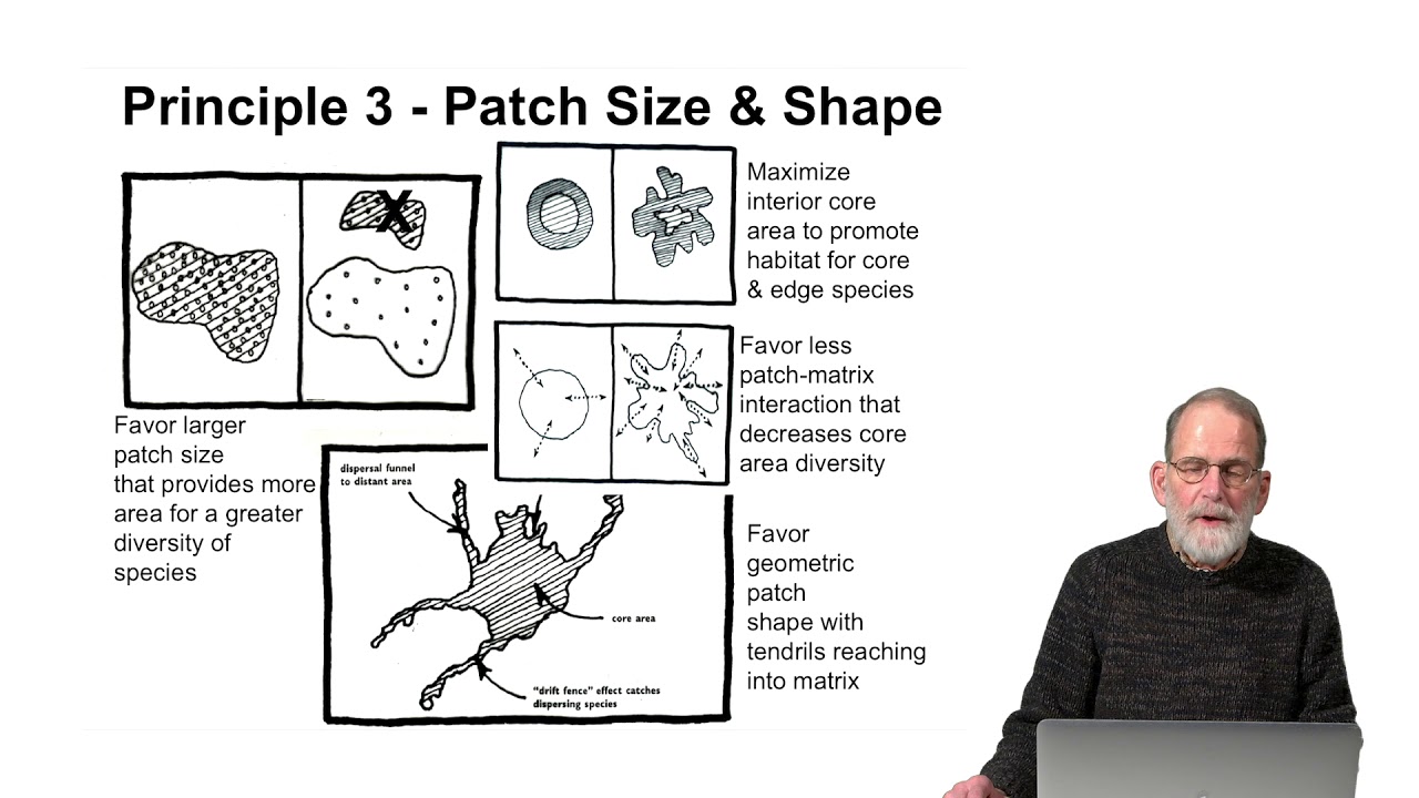 Environmental Planning Strategies