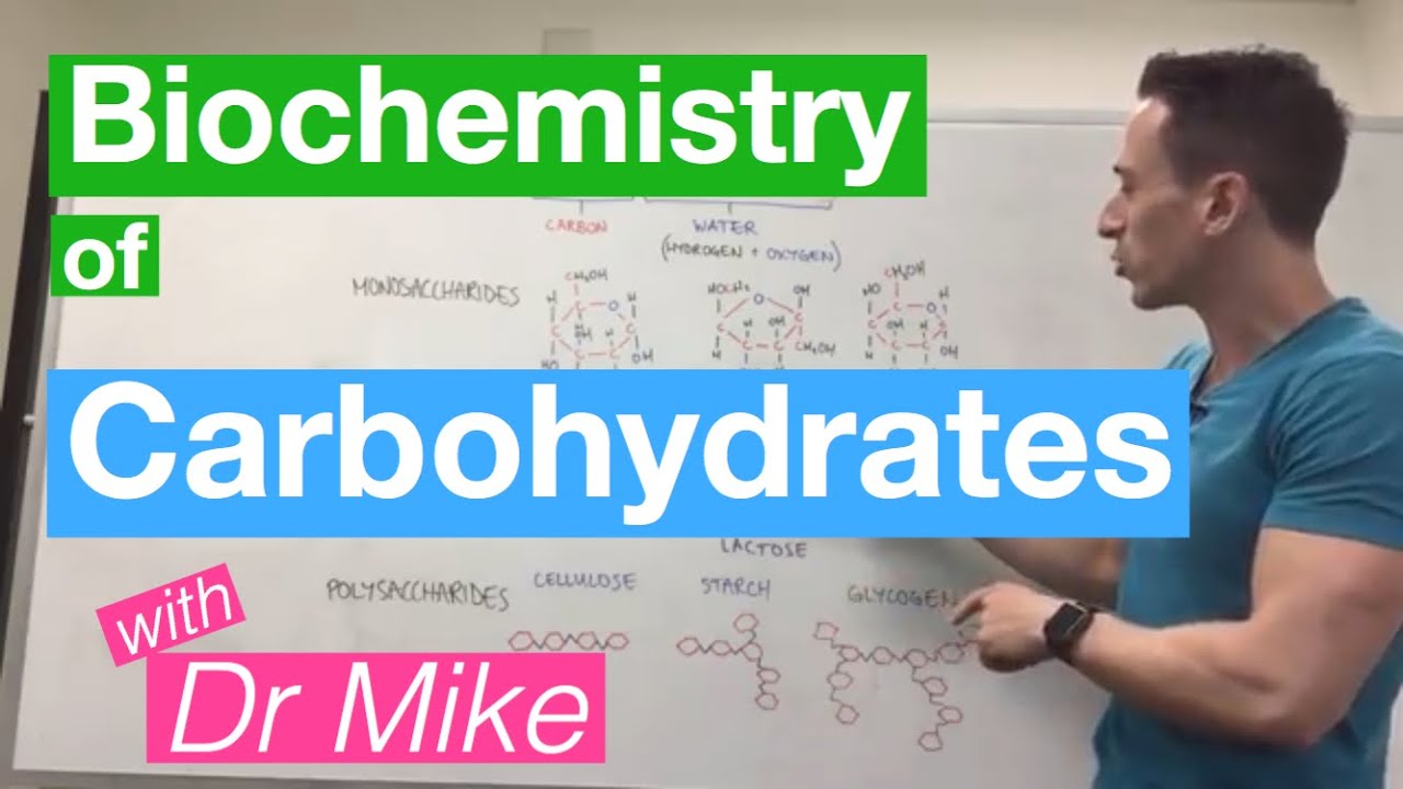 Carbohydrates Biochemistry