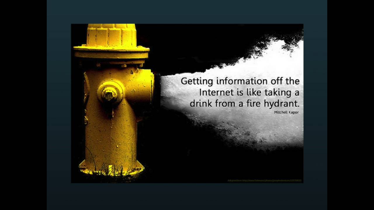 Digital curation for senior students