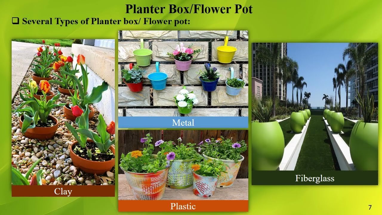 Hard and Soft Landscapes (landscaping planning & design)